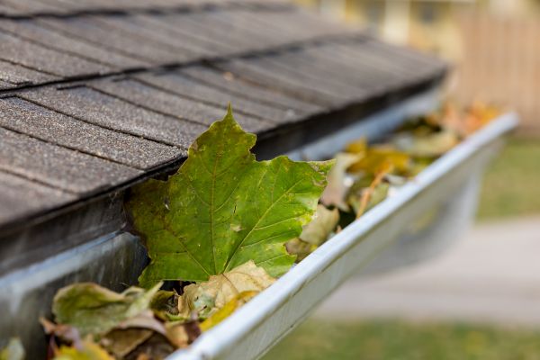 Commercial Downspout Cleaning in Pottstown