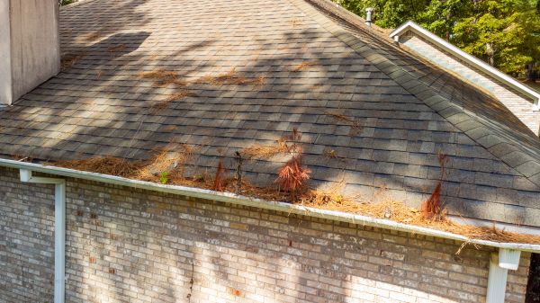 Cost of Gutter Pine Needle Removal in Pottstown