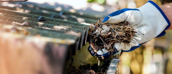 Pine Needle Gutter Cleaning in Pottstown