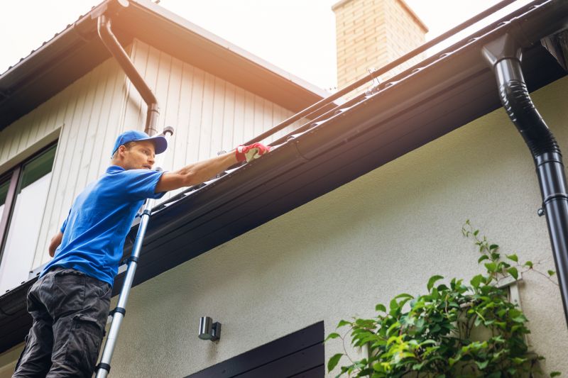 Emergency Gutter Cleaning