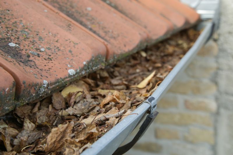 Roof Gutter Debris Removal