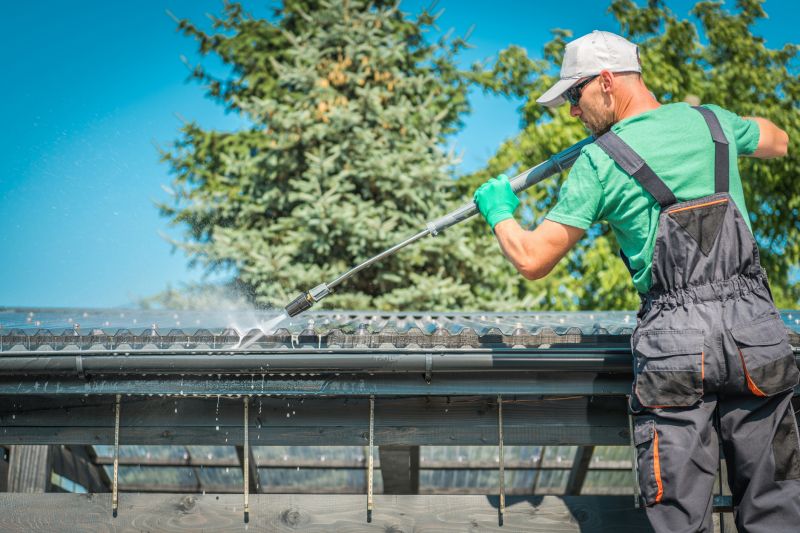 Local Gutter Cleaning Companies
